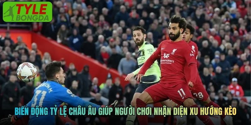 Biến động tỷ lệ bóng đá châu Âu giúp người chơi nhận diện xu hướng kèo