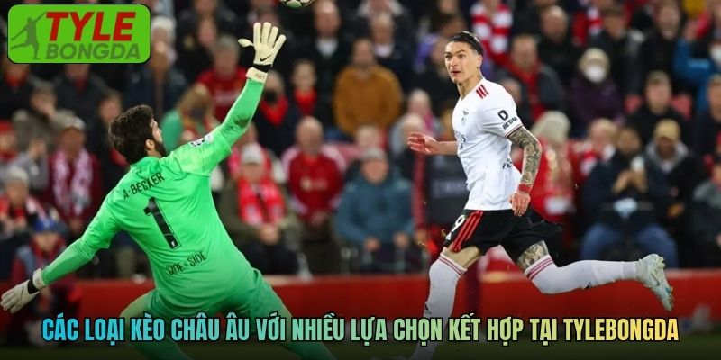 Các loại kèo châu Âu với nhiều lựa chọn kết hợp tại Tylebongda