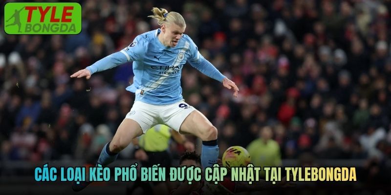 Các loại kèo phổ biến được cập nhật tại TylebongdaCác loại kèo phổ biến được cập nhật tại Tylebongda