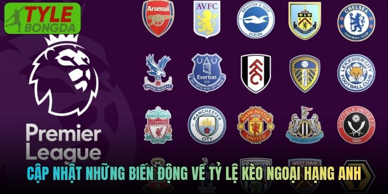 Cập nhật những biến động về tỷ lệ kèo Ngoại Hạng Anh