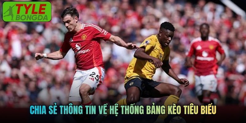 Chia sẻ thông tin về hệ thống bảng kèo tiêu biểu