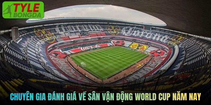 Chuyên gia đánh giá về sân vận động World Cup năm nay