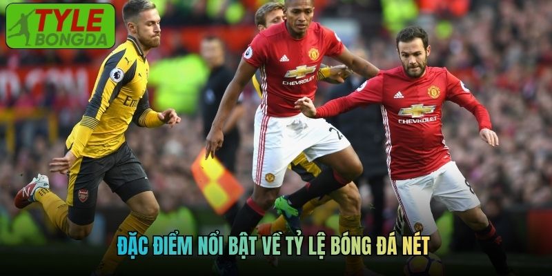 Đặc điểm nổi bật về tỷ lệ bóng đá nét 