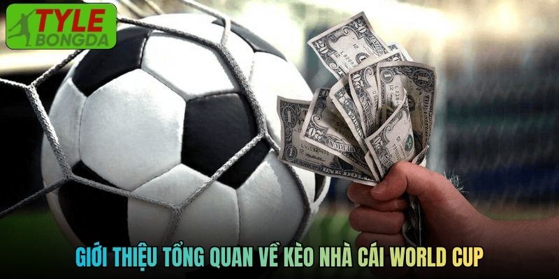 Giới thiệu tổng quan về kèo nhà cái World Cup