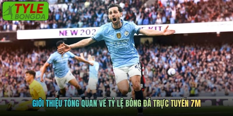 Giới thiệu tổng quan về tỷ lệ bóng đá trực tuyến 7M