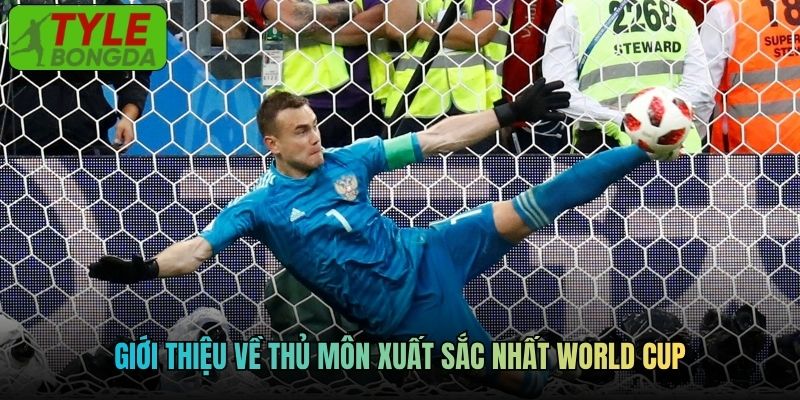 Giới thiệu về thủ môn xuất sắc nhất World Cup