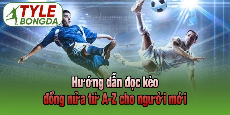 Hướng dẫn đọc kèo đồng nửa từ A-Z cho người mới