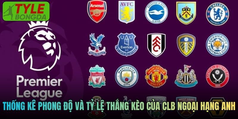 Thống kê phong độ và tỷ lệ thắng kèo của các CLB Ngoại hạng Anh