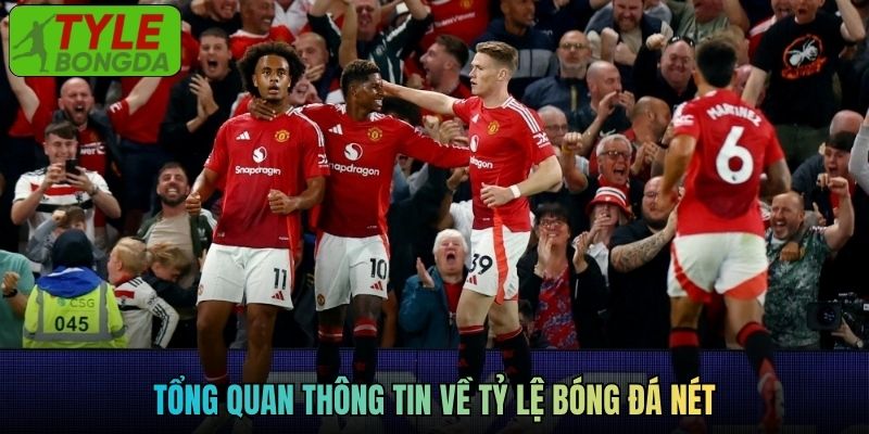 Tổng quan thông tin về tỷ lệ bóng đá nét