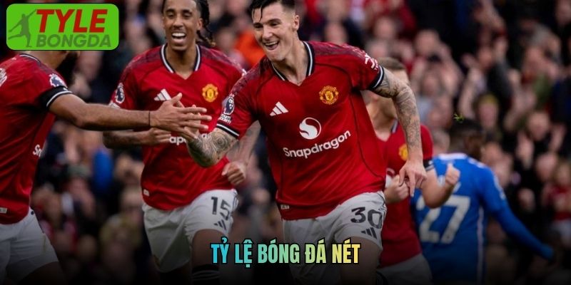 Trang Web Tỷ Lệ Bóng Đá Nét Cập Nhật Tin Tức Cá Độ Nhanh